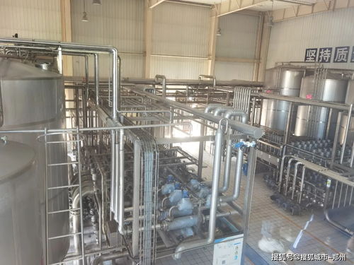 楓葉寶貝探秘花花牛工廠，行走課堂解鎖童年新體驗